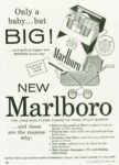 1955 Only a baby ... but Big! New Marlboro