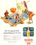 1951 Here come tastier gin drinks - Imported Botanicals are the secret. Hiram Walker’s Gin