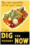 1943 Your own vegetables all the year round... if you Dig For Victory Now