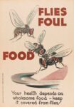 1944 Flies Foul Food