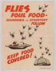 1944 Flies Foul Food - Diarrhoea and Dysentery Follow