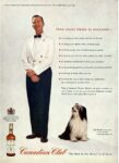 1963 Man most likely to succeed. Canadian Club