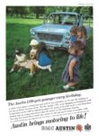 1967 Austin 1100. The Austin 1100 gets younger every birthday