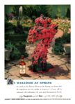 1948 As Welcome As Spring. Seagram’s 7 Crown Blended Whiskey