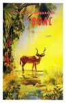 1951 Fly To The Rhodesias By BOAC