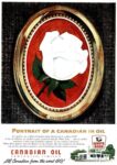 1960 Portrait Of A Canadian In Oil. Canadian Oil. White Rose