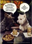 1974 Another Black & White, bartender. I have a heavy date tonight. A Saint Bernhard. Arf