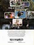 1975 Only at Sea World