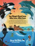 1982 San Diego's finest hour. After hour. After hour. Sea World