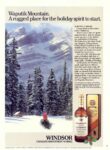 1984 Waputik Mountain. A rugged place for the holiday spirit to start. Windsor