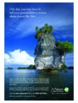 2009 One day, you may have to tell your grandchildren stories about places like this. The Nature Conservancy