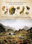 2010 You don't have to spend money like a jet-setter To Enjoy The Wildlife. Go RVing