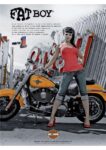 2011 Harley-Davidson Fatboy