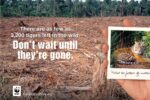2012 There are as few as 3,200 tigers left in the wild. Don't wait until they're gone