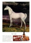 1947 The Leader. White Horse