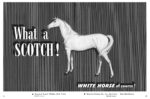 1951 What a Scotch! White Horse of course!