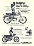 1965 Yamaha Rotary Jet 80 and Big Bear Scrambler 250, more fun than a barrel of monkeys!