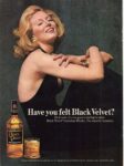 1974 Have you felt Black Velvet