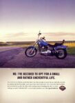2001 Harley-Davidson Wide Glide. No. I've Decided To Opt For A Small And Rather Uneventful Life