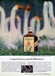 1962 A squad of geese guards Ballantine's