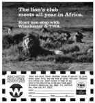 1969 The lion's club meets all year in Africa. Hunt non-stop with Winchester & TWA
