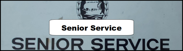 Senior Service Ad and Poster Collection