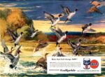 1950 Make that Fall change Now! Winter-Grade Gulfpride. Gulf