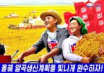 2024 Let's successfully carry out the grain production plan for this year!