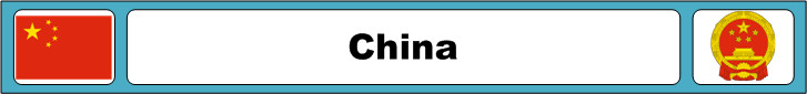 China Modern Era Propaganda Collection