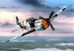 Finnish Morane Saulnier MS.406