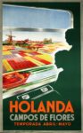 1955 Holanda. Campos De Flores