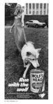 1973 Run with the wolf. Wolf's Head (3)